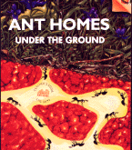 Ant Homes Underground cover